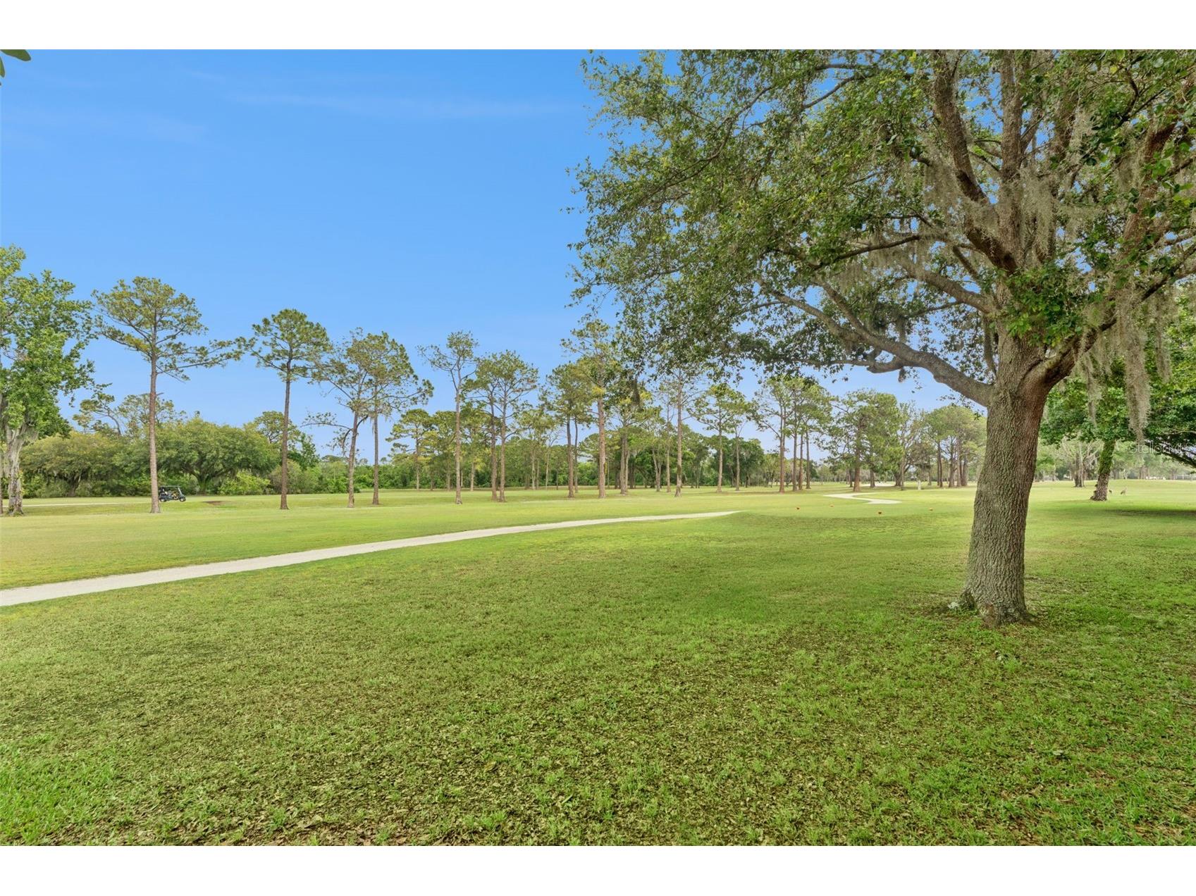 4627 Blue Major Drive Windermere FL 34786 O6397778 image36