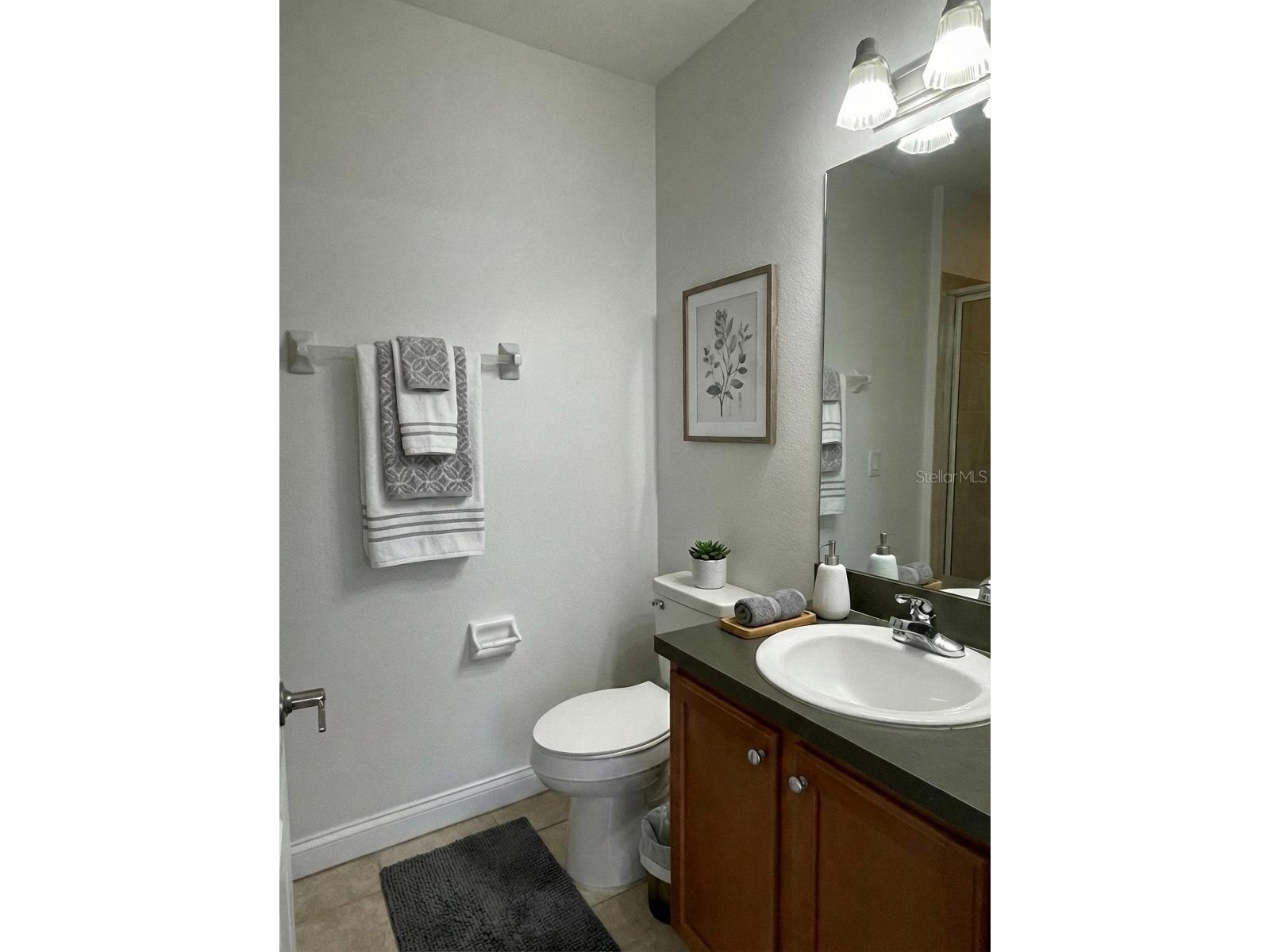 4627 Legacy Park Drive Tampa FL 33611 TB8476582 image22