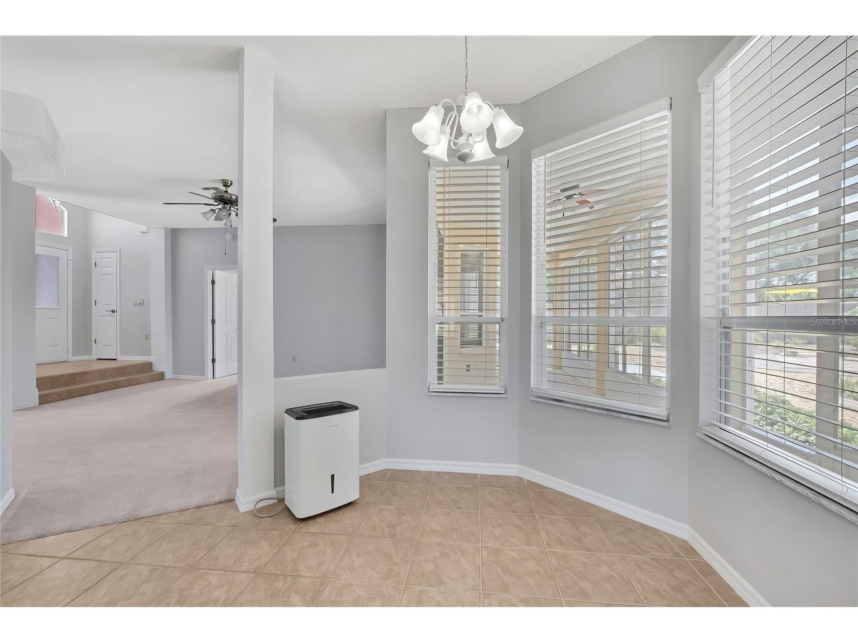 4628 Bayridge Court Spring Hill FL 34606 TB8519371 image17