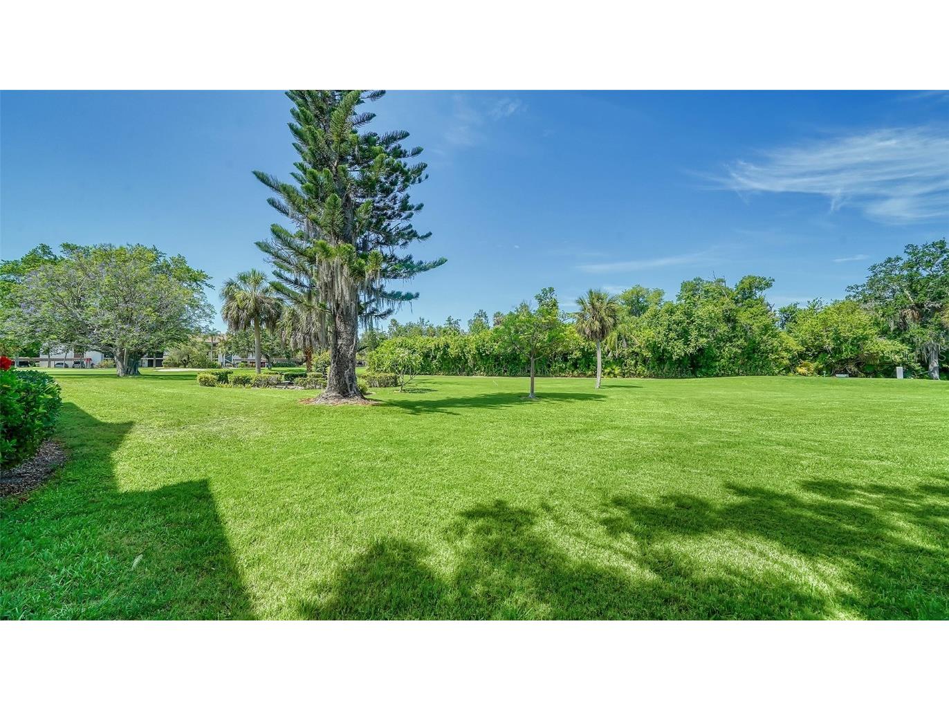 4628 Red Maple Road #1202 Bradenton FL 34210 A4612315 image29