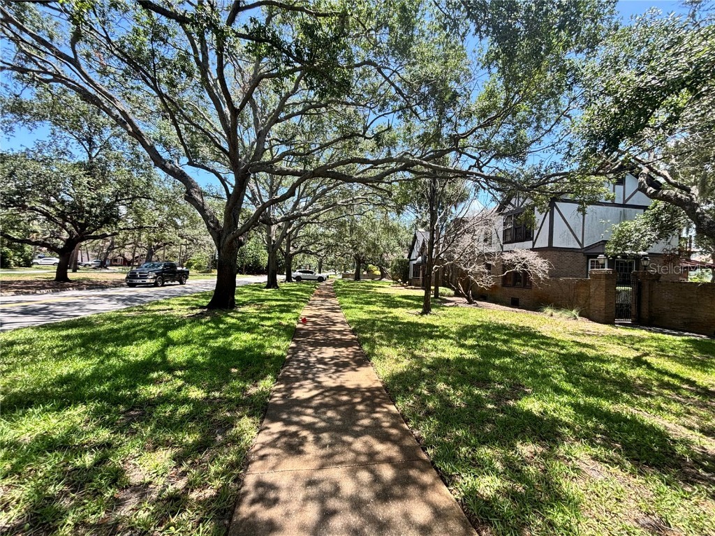 4628 W Bay To Bay Boulevard Tampa FL 33629 TB8393006 image3