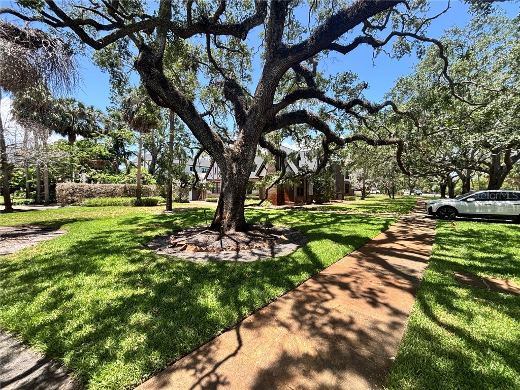 4628 W Bay To Bay Boulevard Tampa FL 33629 TB8393006 image9