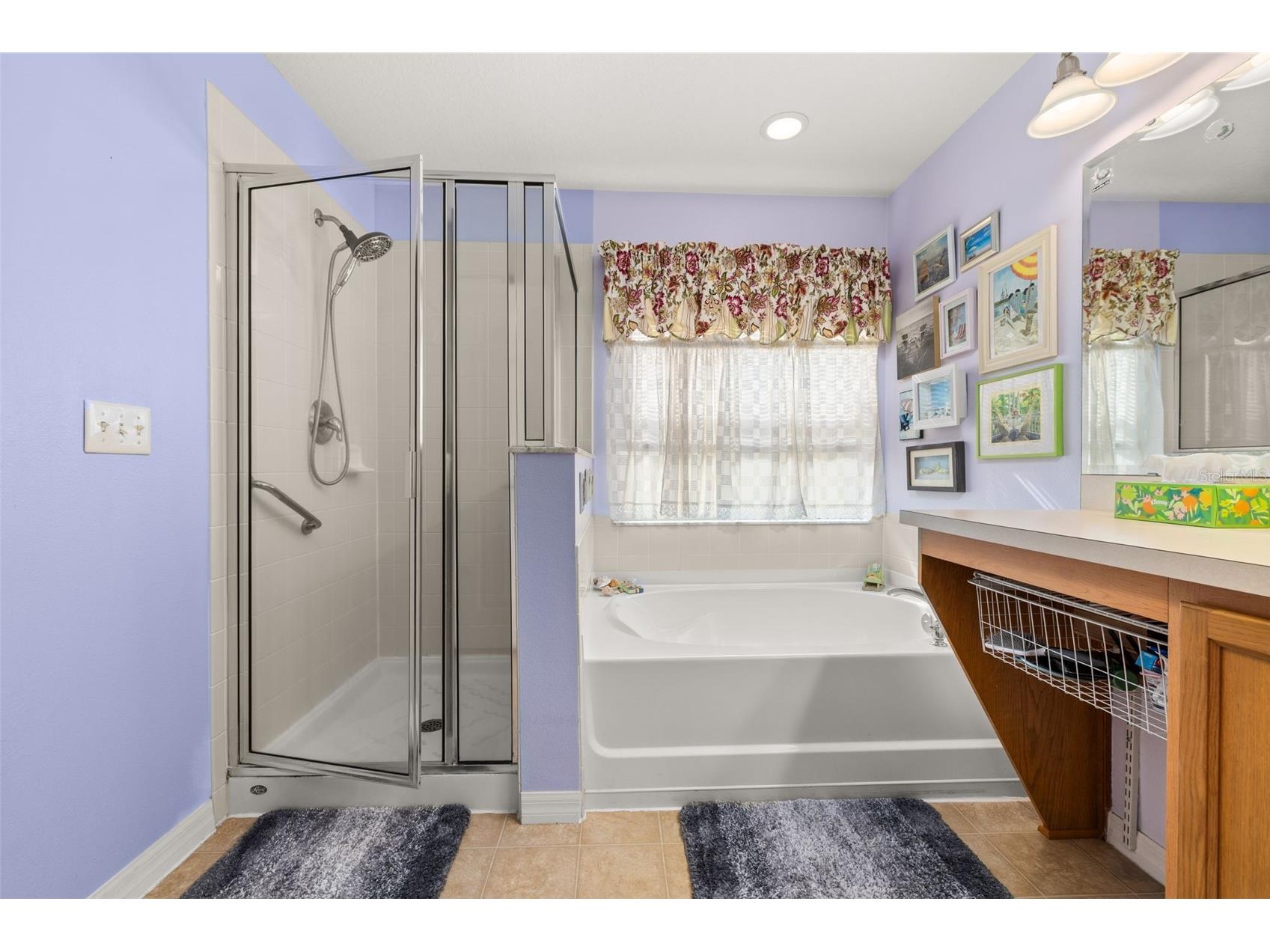 4629 Caverns Drive Kissimmee FL 34758 O6363638 image12