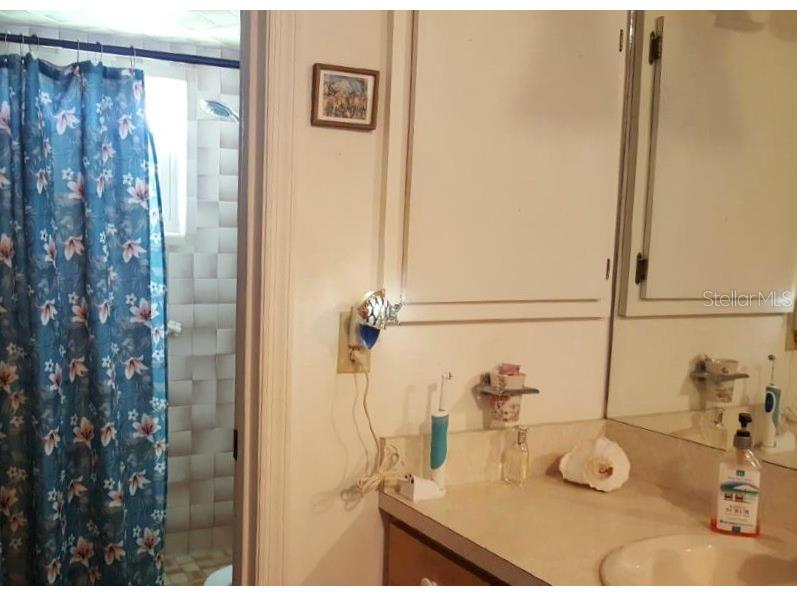 4629 Doris Drive New Smyrna Beach FL 32169 NS1086815 image5