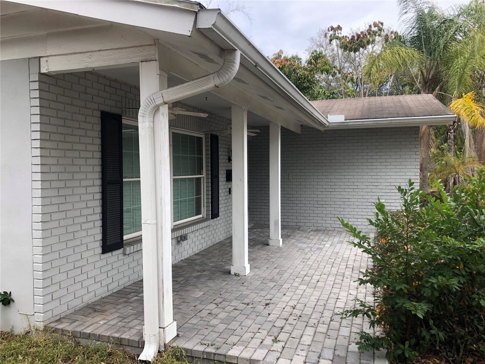 4629 W Leona Street Tampa FL 33629 TB8473204 image4