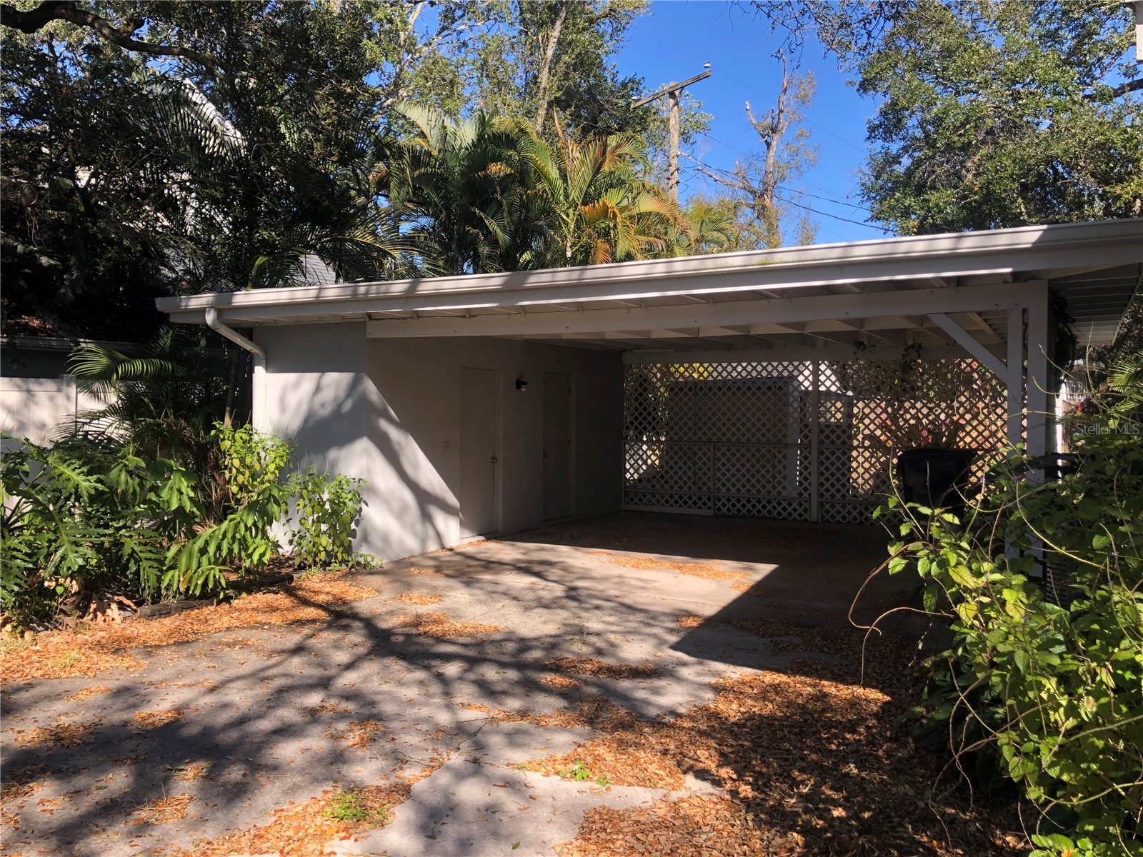 4629 W Leona Street Tampa FL 33629 TB8473204 image5