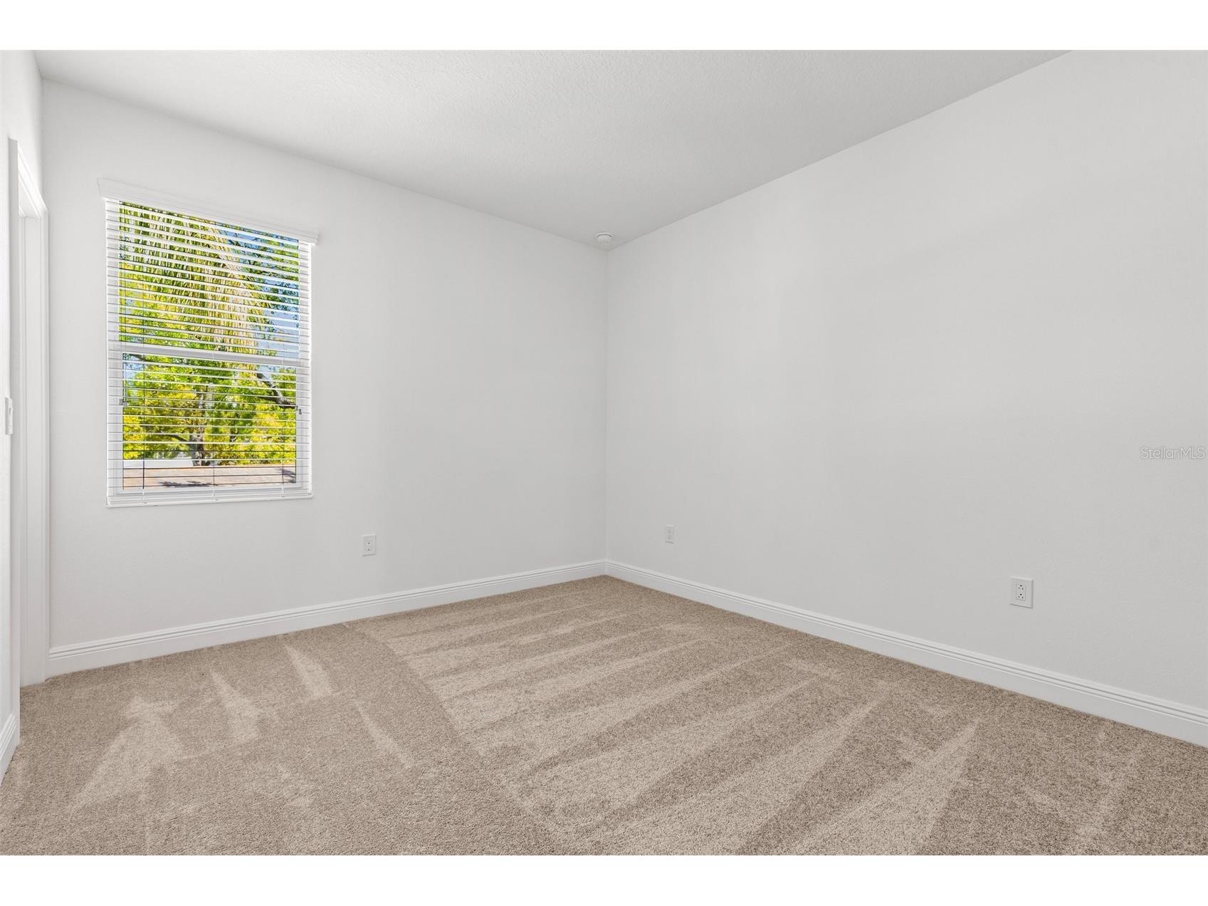 4629 Wishart Boulevard Tampa FL 33603 TB8495878 image23