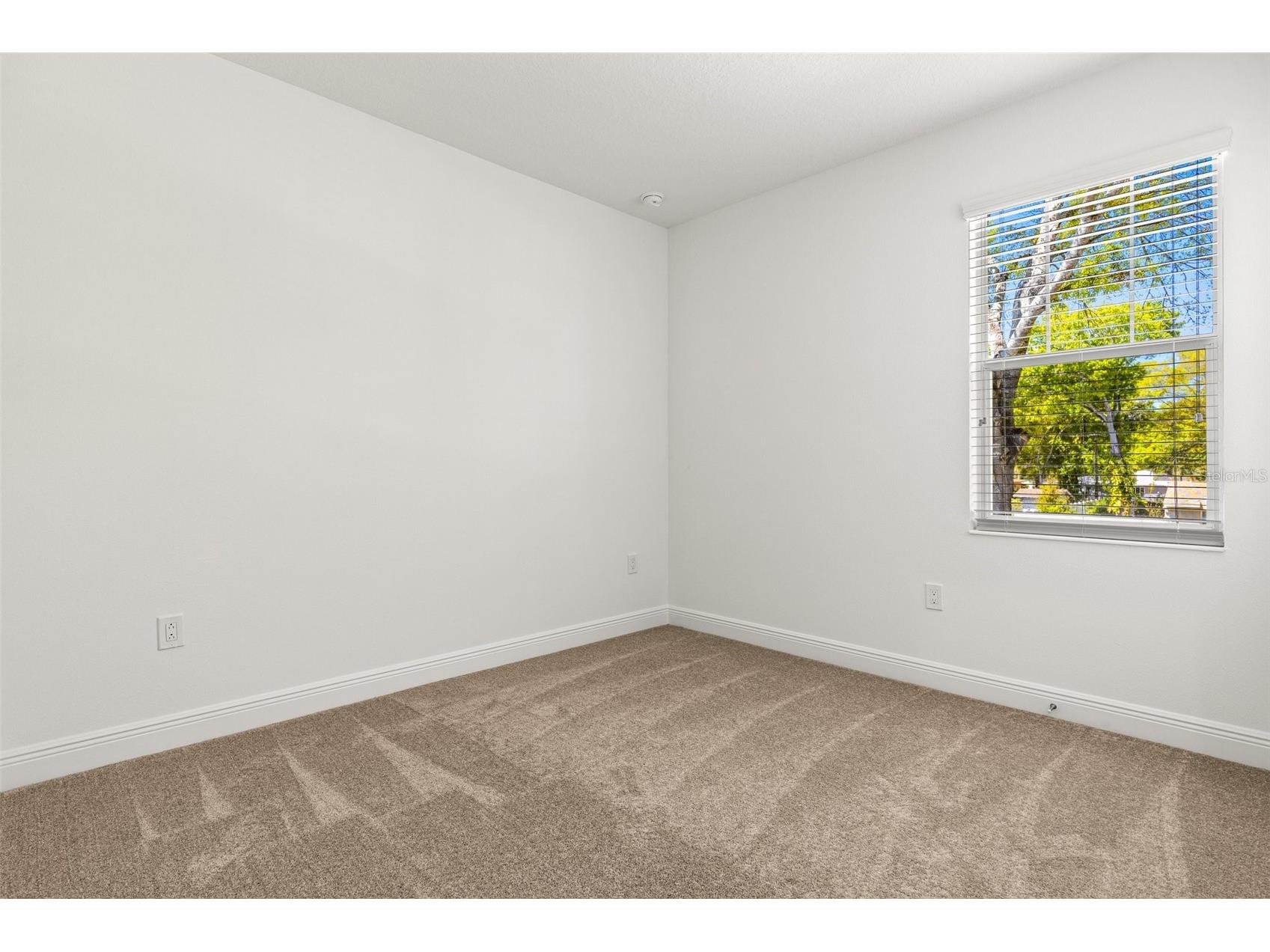 4629 Wishart Boulevard Tampa FL 33603 TB8495878 image26