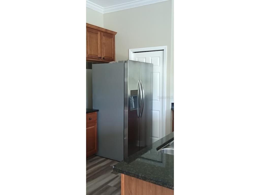 463 Bayou Village Drive Tarpon Springs FL 34689 TB8456065 image10