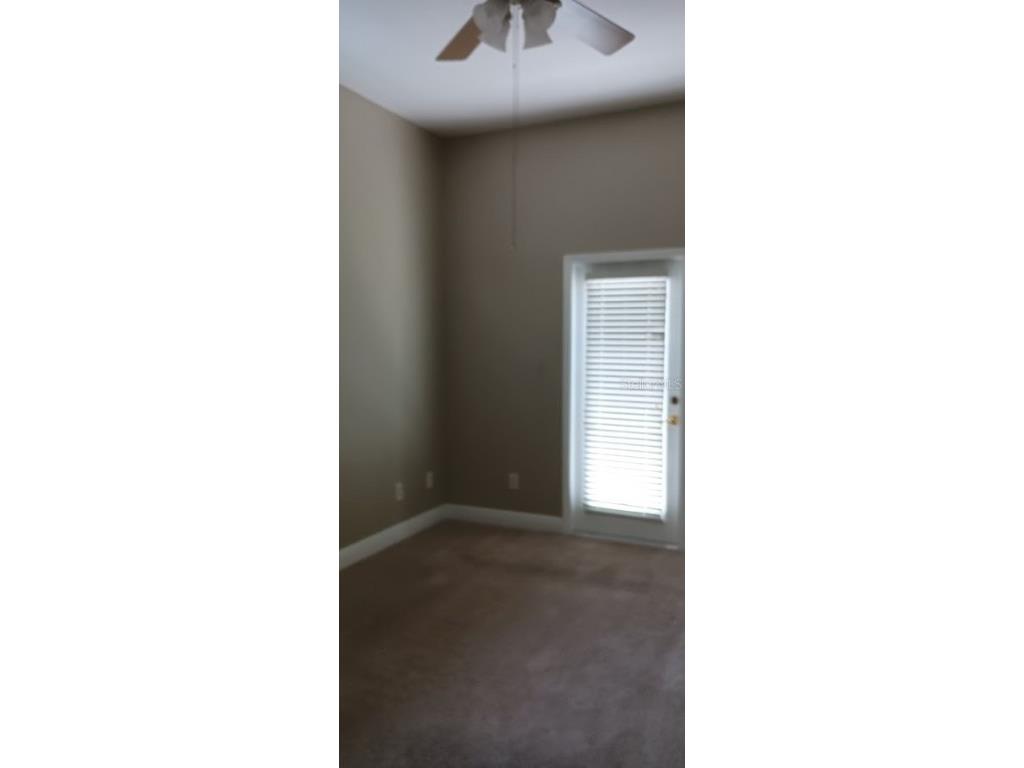 463 Bayou Village Drive Tarpon Springs FL 34689 TB8456065 image12