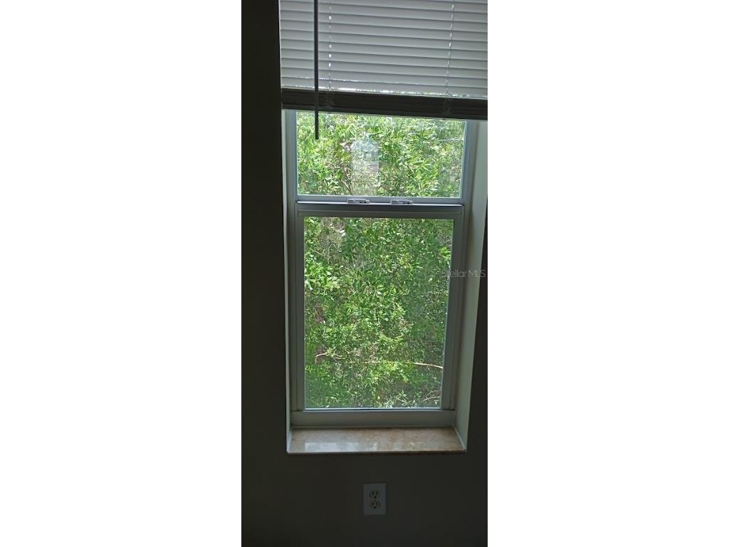 463 Bayou Village Drive Tarpon Springs FL 34689 TB8456065 image13