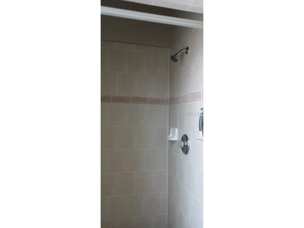 463 Bayou Village Drive Tarpon Springs FL 34689 TB8456065 image16