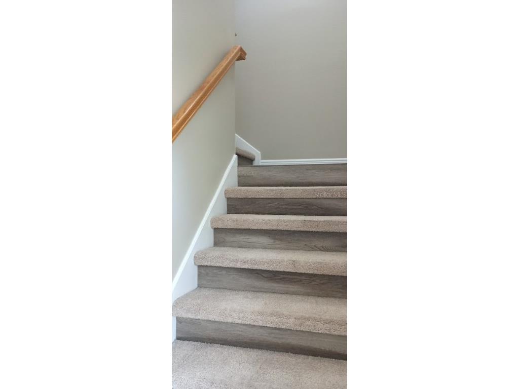 463 Bayou Village Drive Tarpon Springs FL 34689 TB8456065 image17