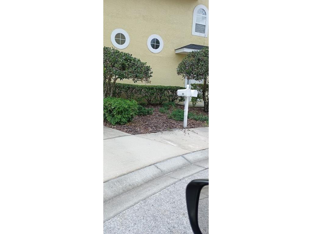 463 Bayou Village Drive Tarpon Springs FL 34689 TB8456065 image2