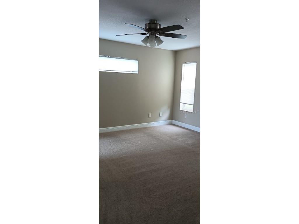 463 Bayou Village Drive Tarpon Springs FL 34689 TB8456065 image21