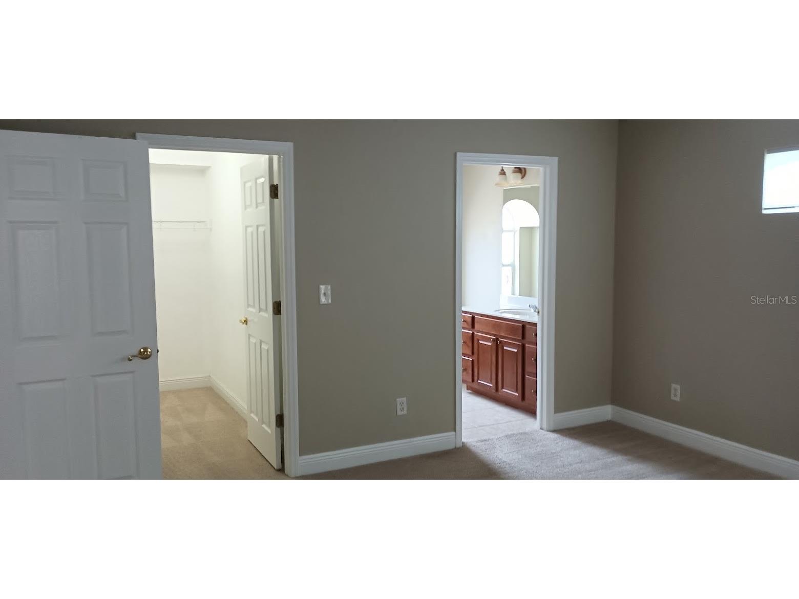 463 Bayou Village Drive Tarpon Springs FL 34689 TB8456065 image22