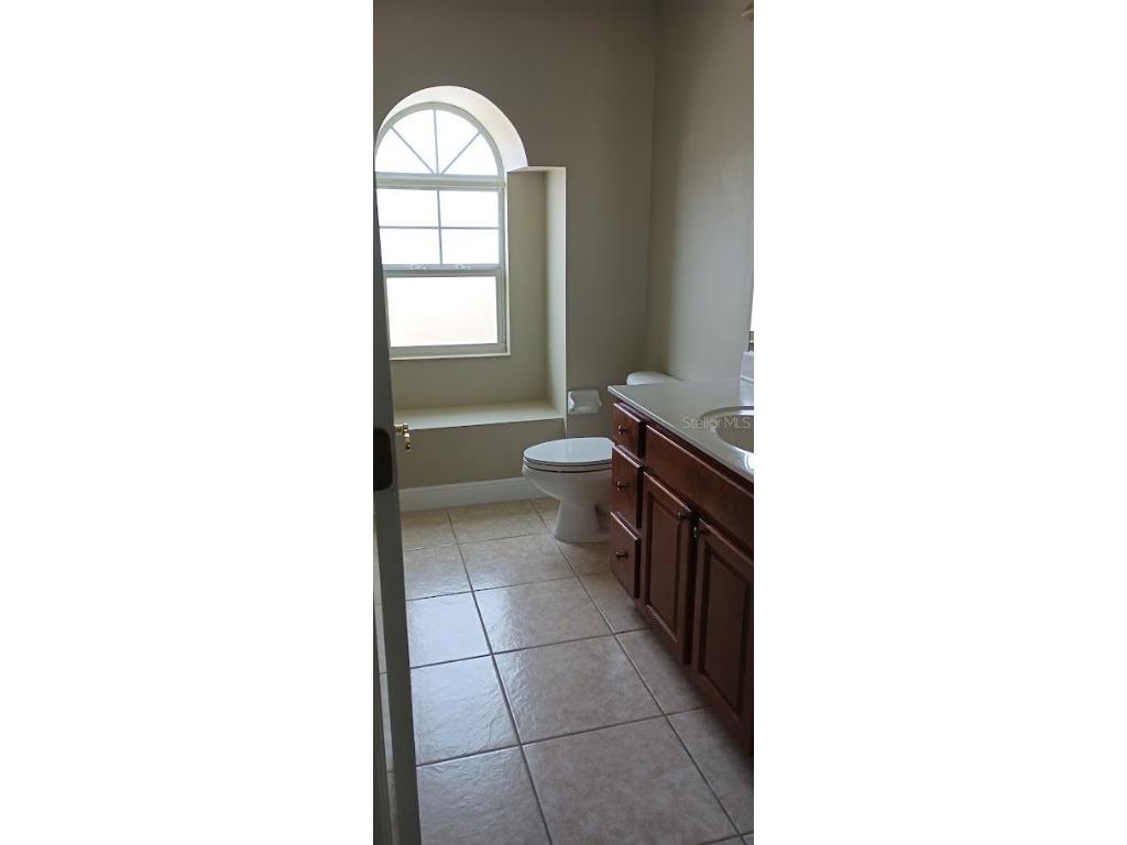 463 Bayou Village Drive Tarpon Springs FL 34689 TB8456065 image23