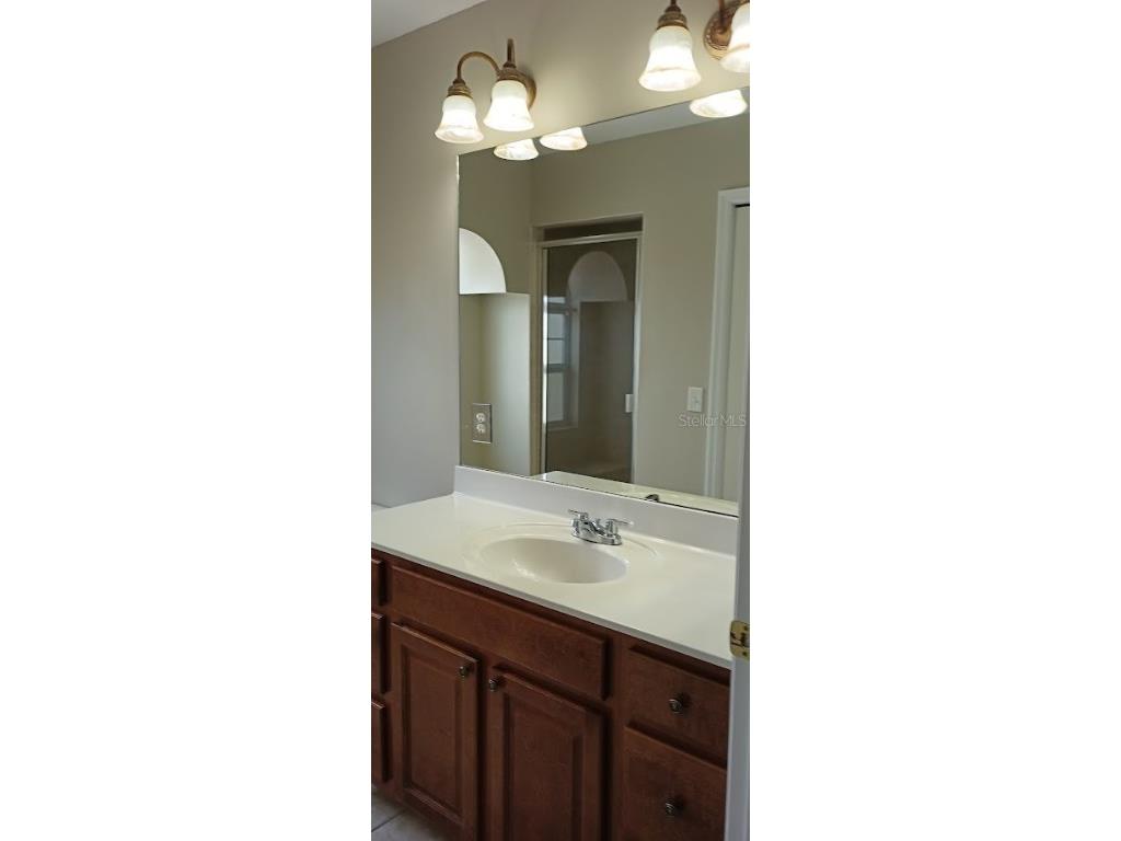 463 Bayou Village Drive Tarpon Springs FL 34689 TB8456065 image24