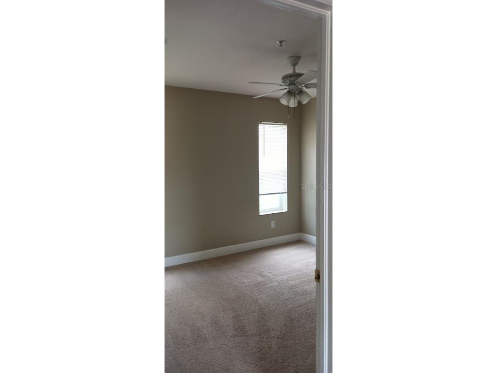 463 Bayou Village Drive Tarpon Springs FL 34689 TB8456065 image25