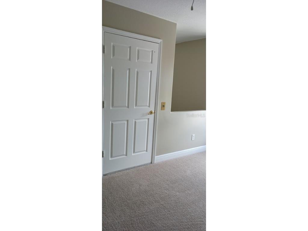 463 Bayou Village Drive Tarpon Springs FL 34689 TB8456065 image28