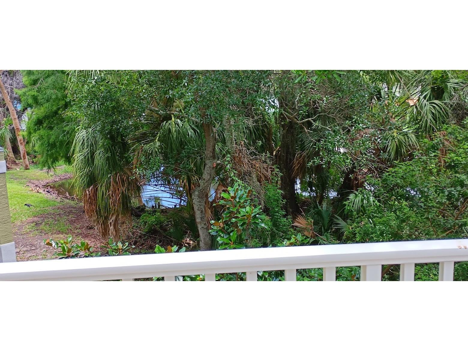 463 Bayou Village Drive Tarpon Springs FL 34689 TB8456065 image31