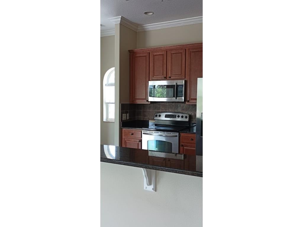 463 Bayou Village Drive Tarpon Springs FL 34689 TB8456065 image4