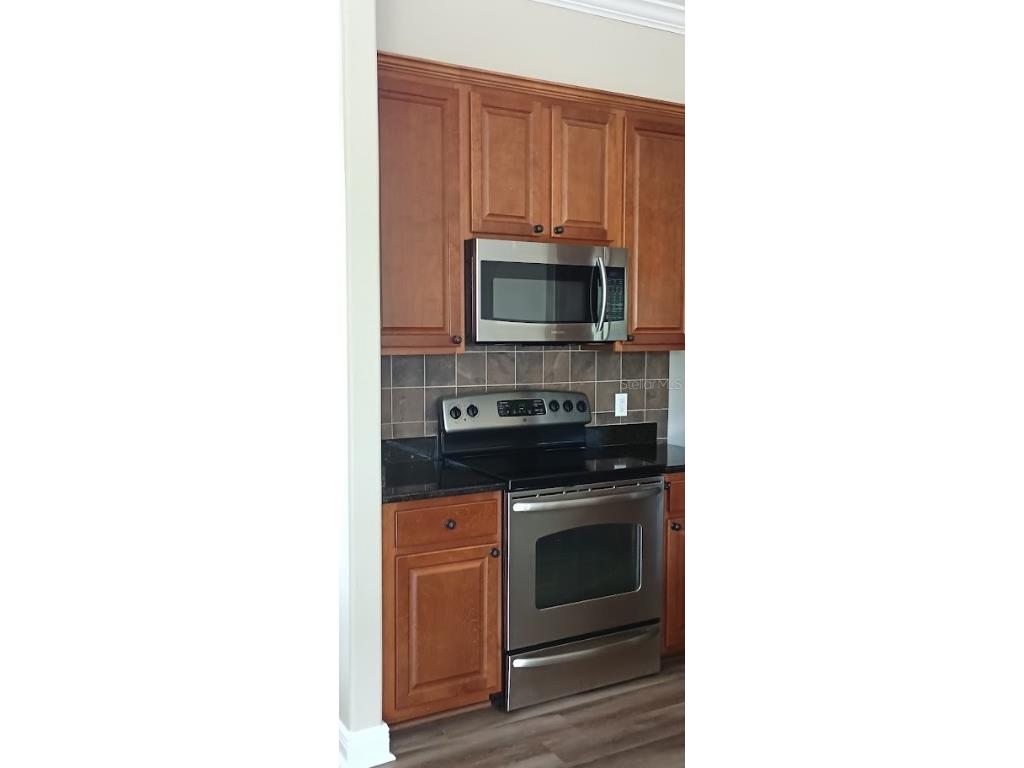 463 Bayou Village Drive Tarpon Springs FL 34689 TB8456065 image6