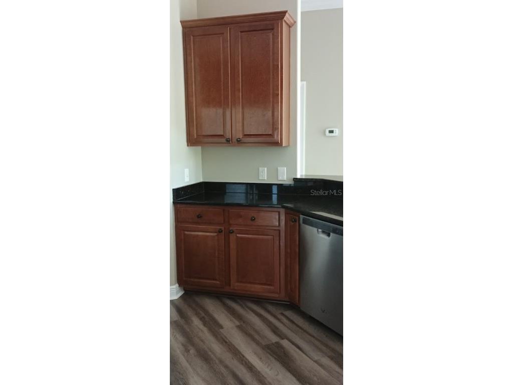 463 Bayou Village Drive Tarpon Springs FL 34689 TB8456065 image7