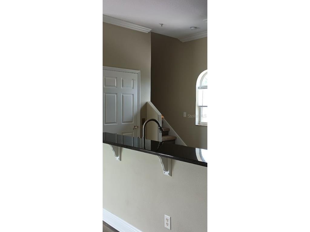 463 Bayou Village Drive Tarpon Springs FL 34689 TB8456065 image9