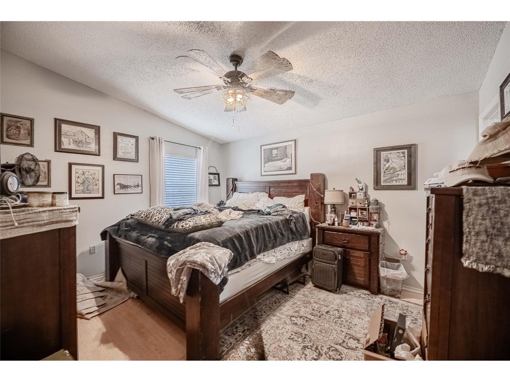 463 Emerald Cove Loop Lakeland FL 33813 TB8468948 image17