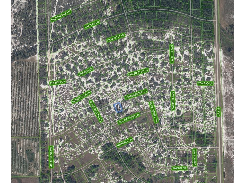 463 Humoresque Lane Lake Placid FL 33852 O6303821 image2