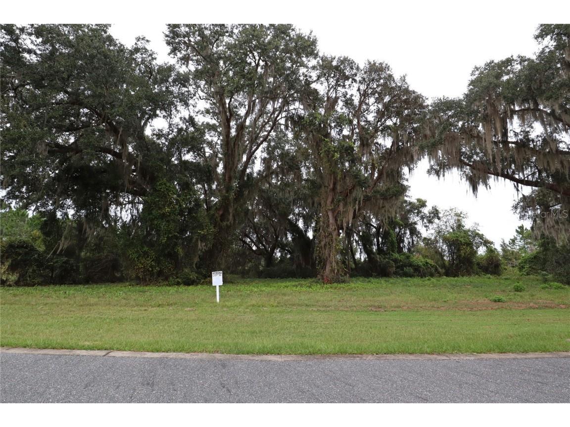 463 Long And Winding Road Groveland FL 34737 O6135660 image1