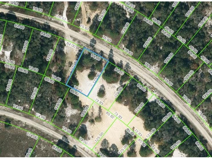 463 Morningside Drive Lake Placid FL 33852 OM624447 image1