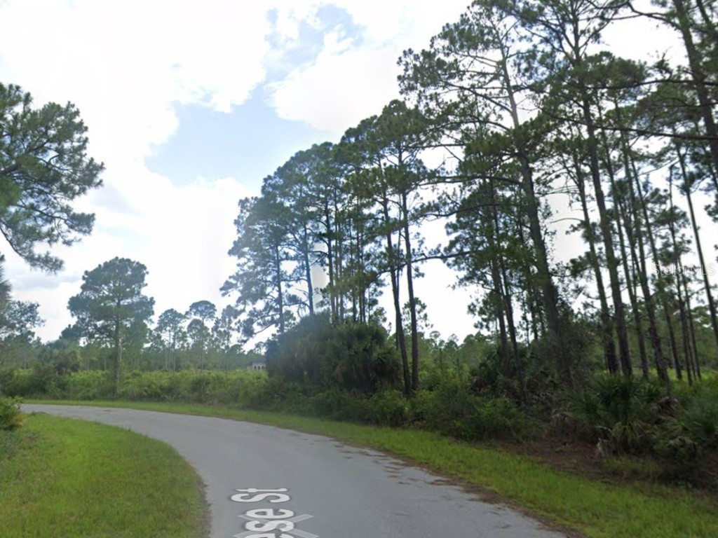 463 Reese Street Port Charlotte FL 33953 C7516745 image3