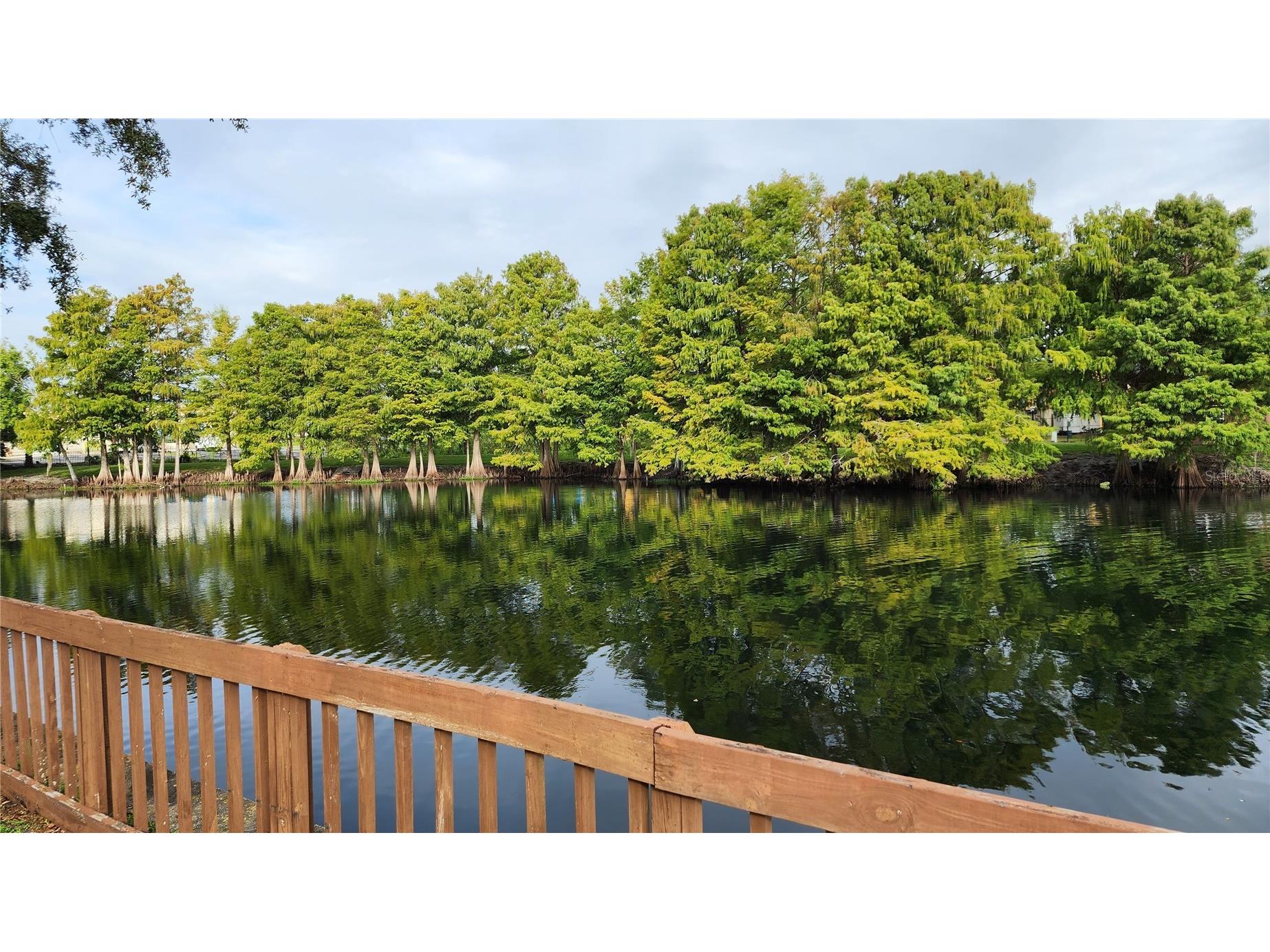 4630 Commander Drive #1038 Orlando FL 32822 S5147561 image21