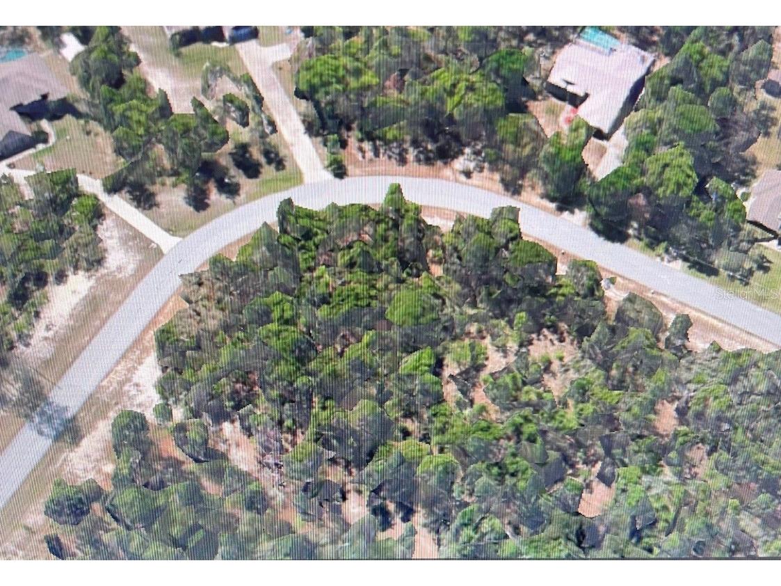 4630 N Buffalo Drive Beverly Hills FL 34465 W7866819 image1