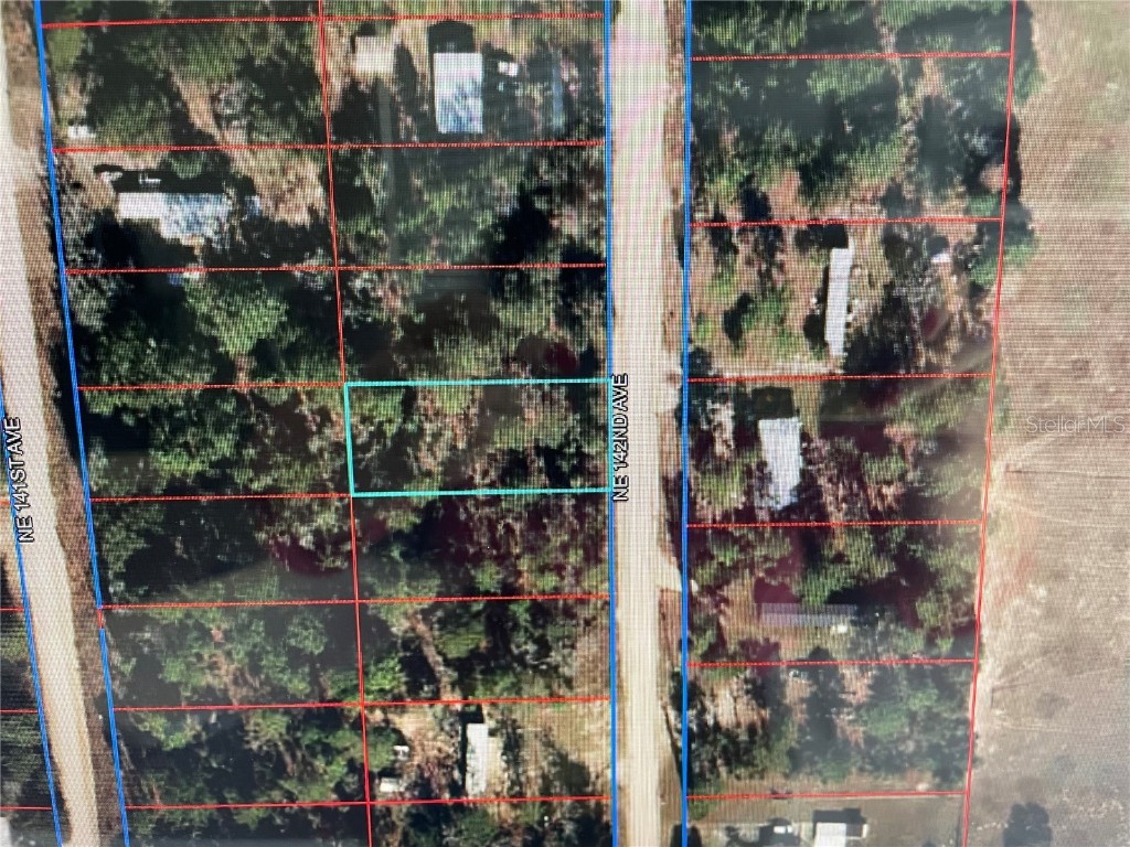 4630 NE 142nd Avenue Williston FL 32696 OM697931 image3