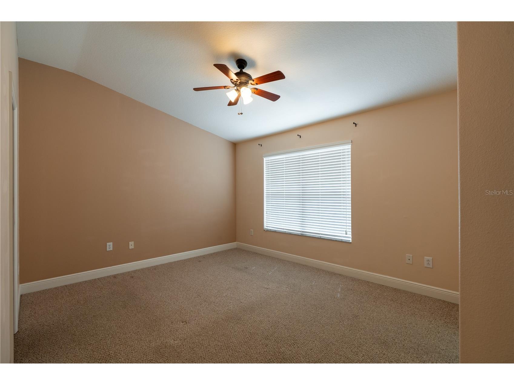 4631 69th Place Pinellas Park FL 33781 TB8486869 image11