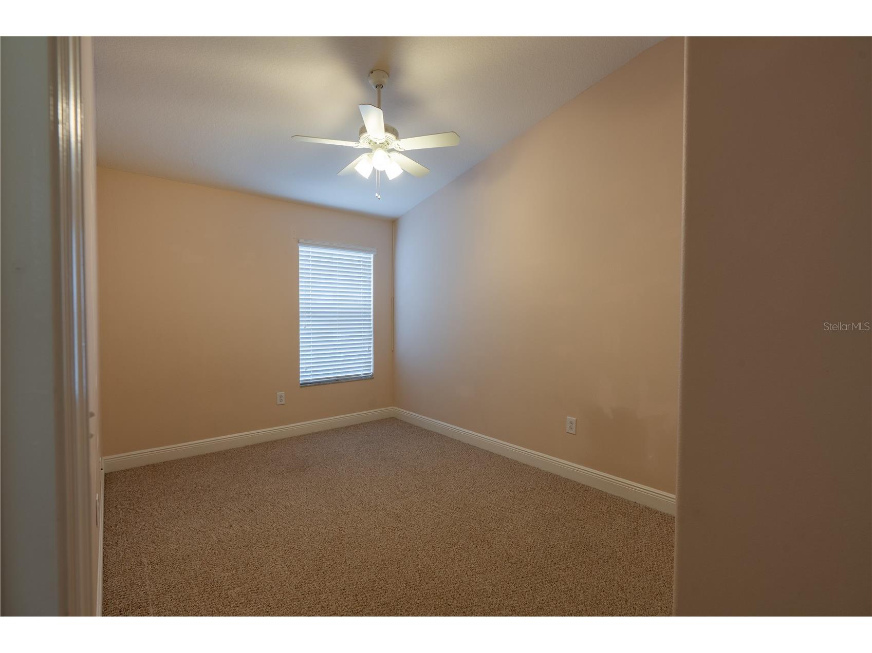 4631 69th Place Pinellas Park FL 33781 TB8486869 image15