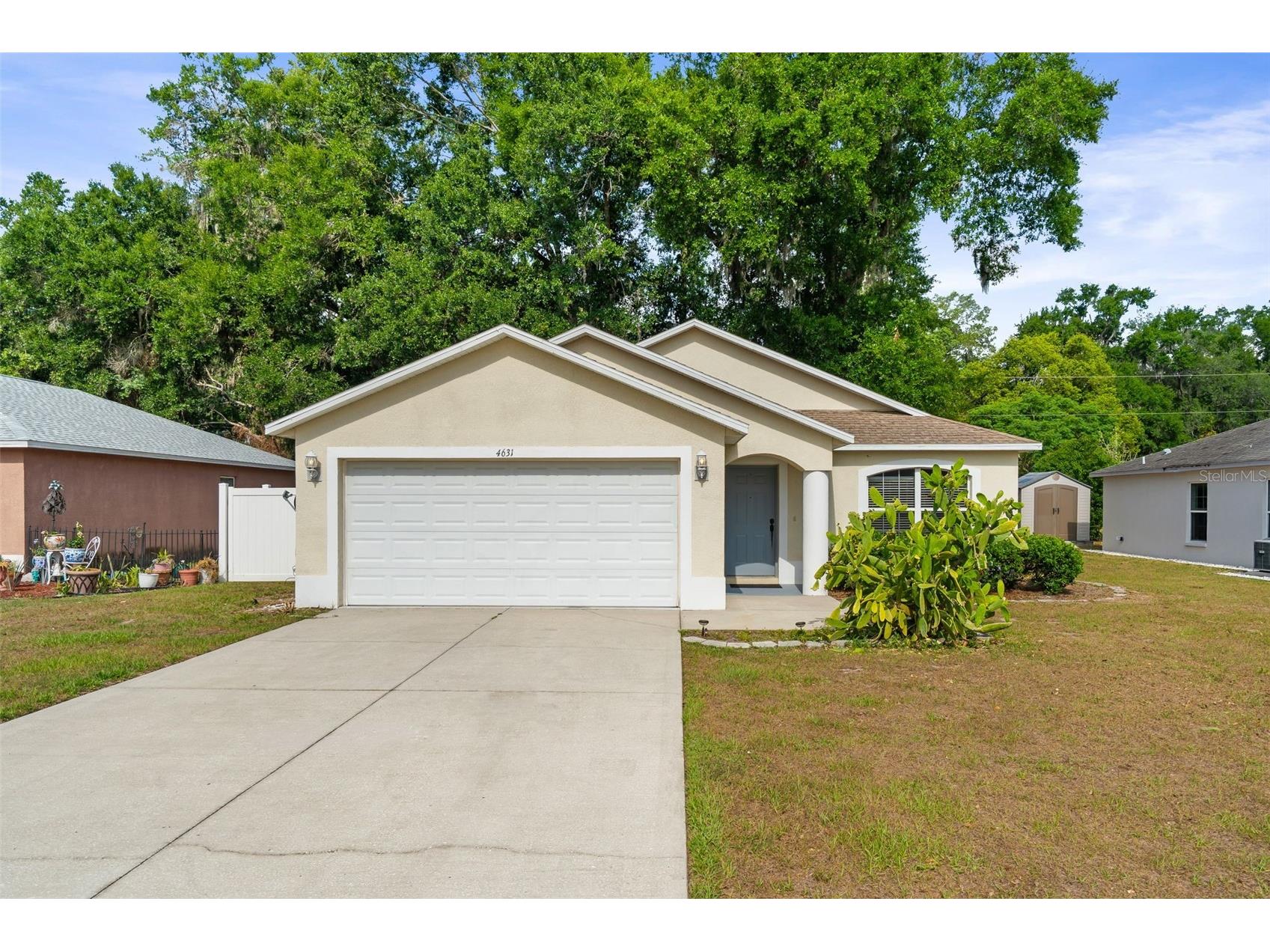 4631 Eagle Ranch Drive Zephyrhills FL 33542 TB8506108 image1