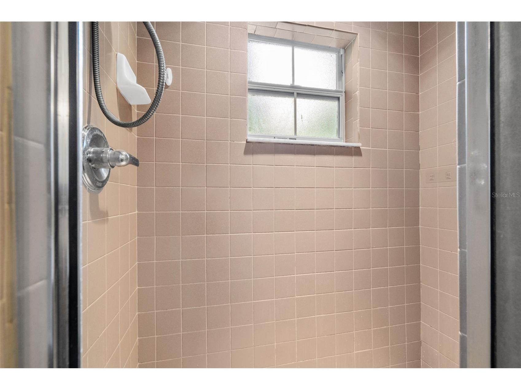 4631 Eagle Ranch Drive Zephyrhills FL 33542 TB8506108 image22