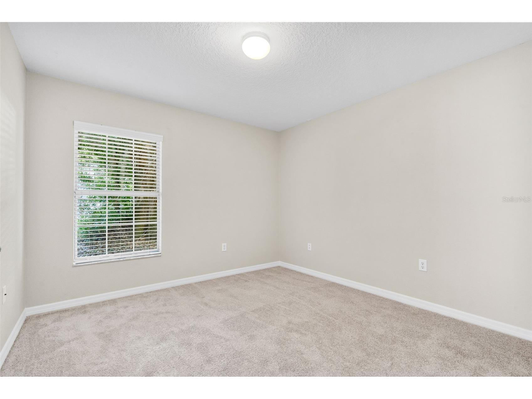 4631 Eagle Ranch Drive Zephyrhills FL 33542 TB8506108 image26