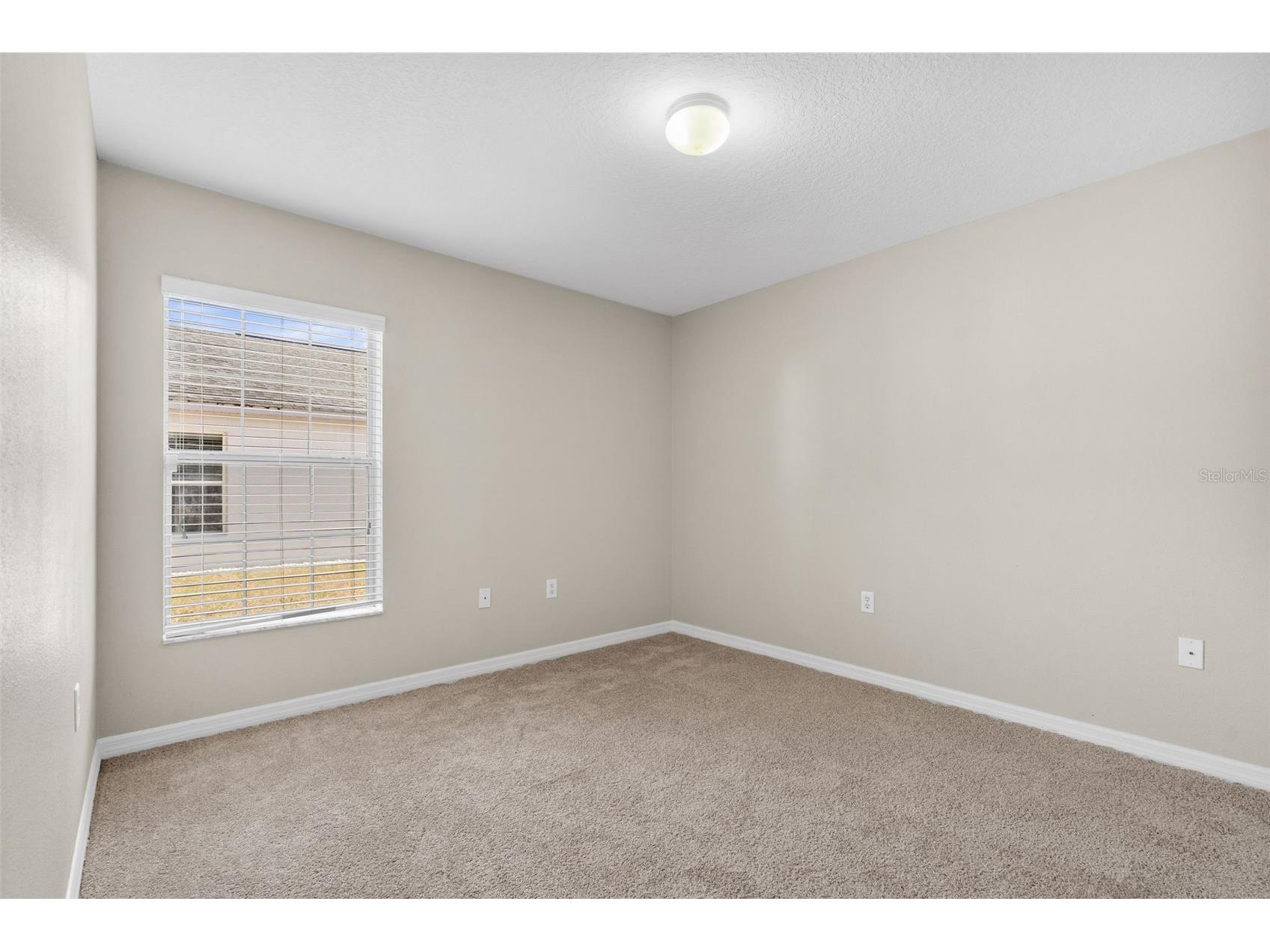 4631 Eagle Ranch Drive Zephyrhills FL 33542 TB8506108 image29