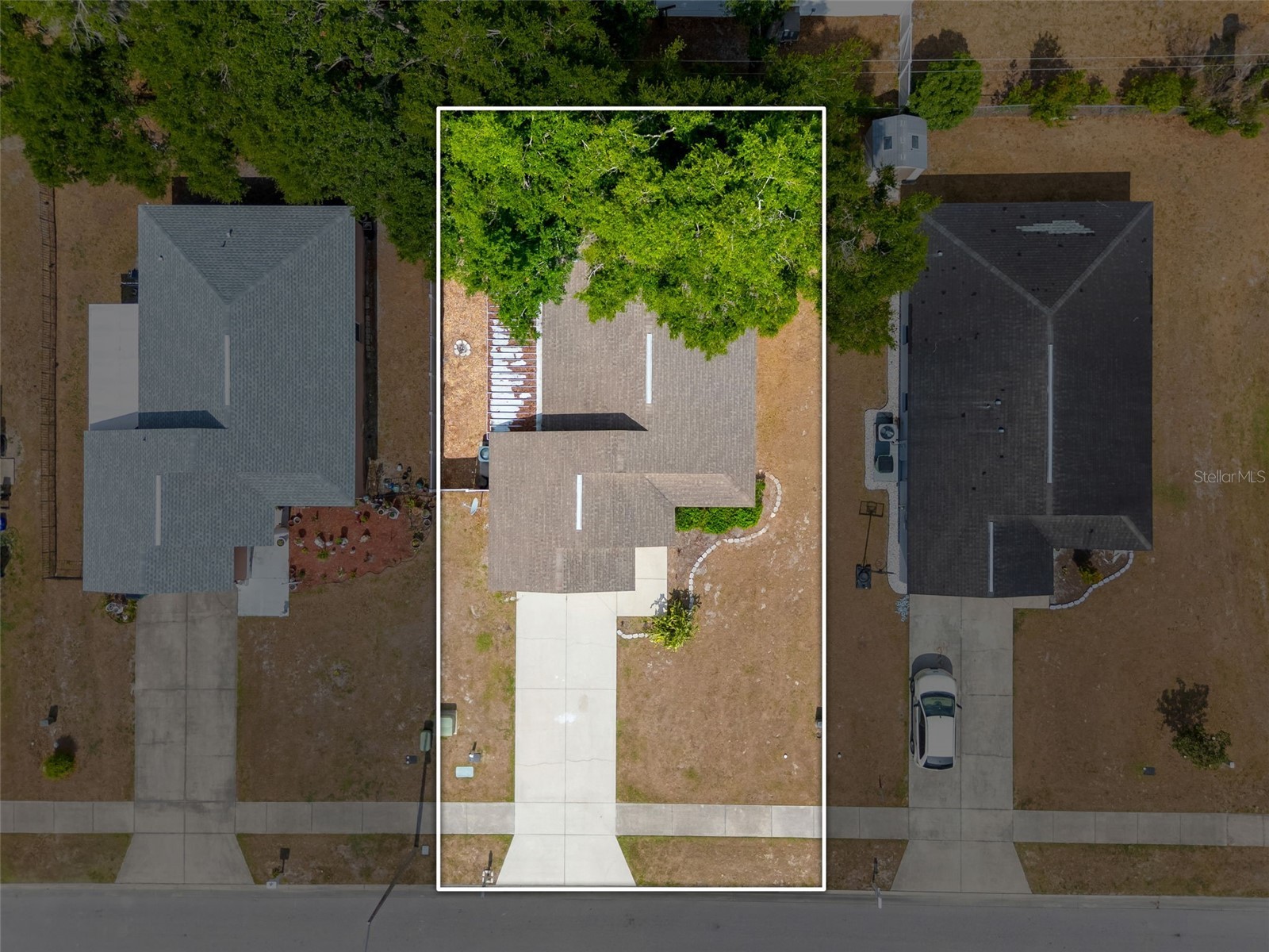 4631 Eagle Ranch Drive Zephyrhills FL 33542 TB8506108 image39