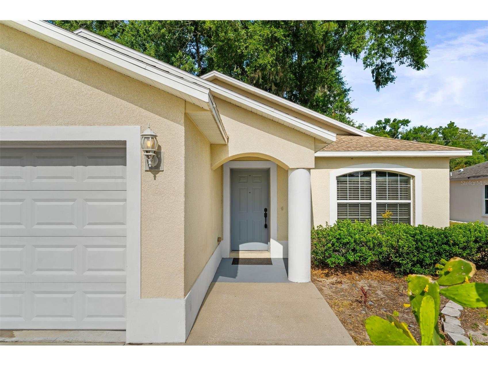 4631 Eagle Ranch Drive Zephyrhills FL 33542 TB8506108 image5