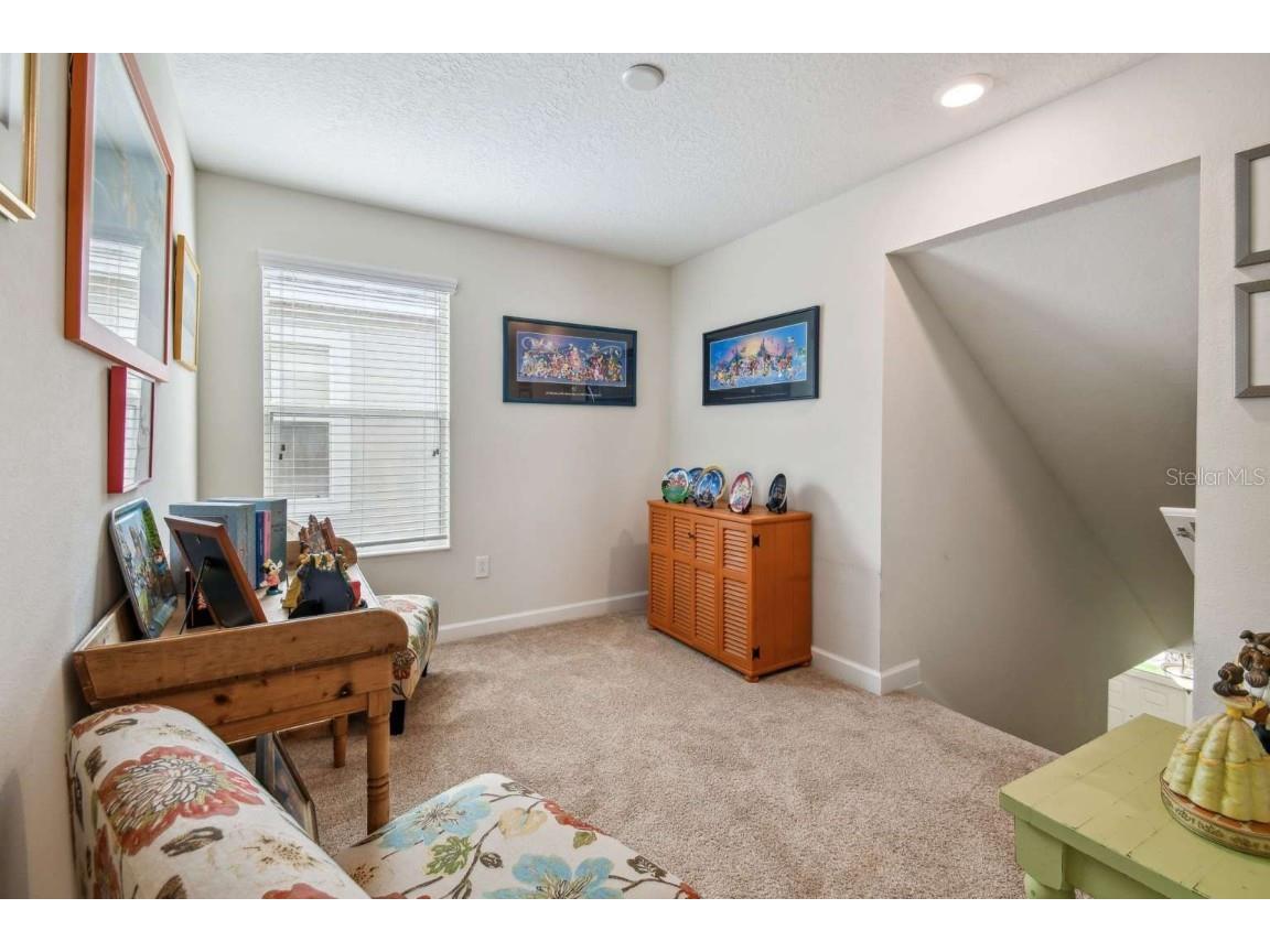 4631 Egg Harbor Drive Kissimmee FL 34746 TB8440413 image21