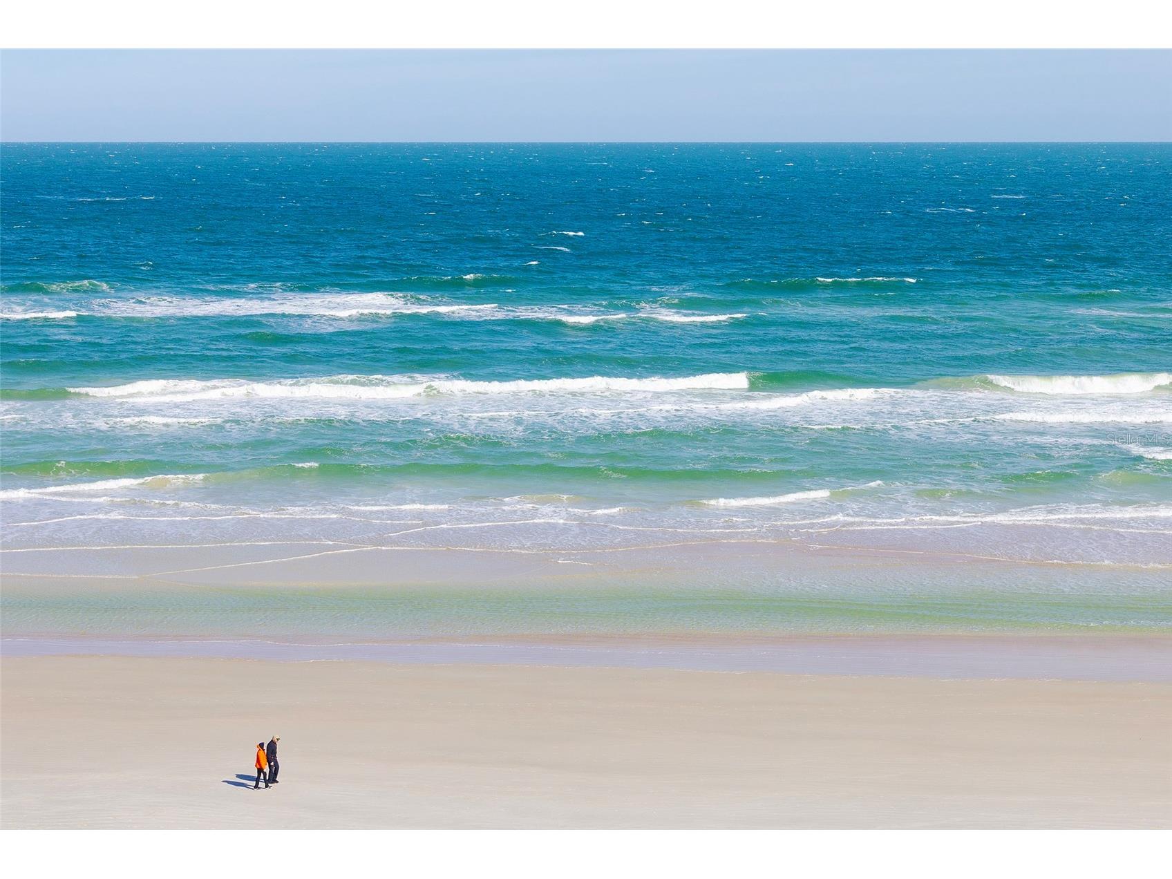 4631 S Atlantic Avenue #8601 Ponce Inlet FL 32127 NS1087404 image20
