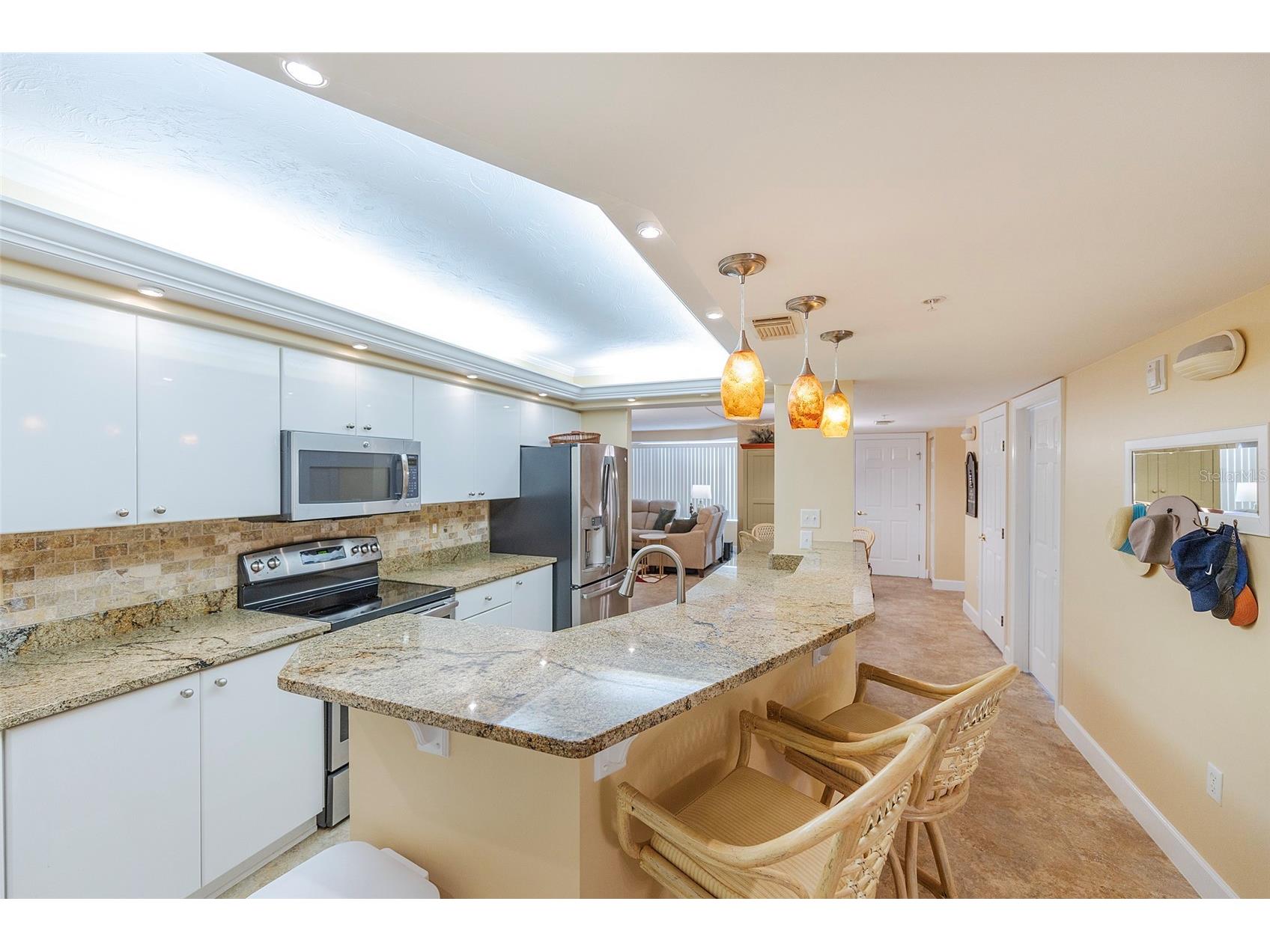 4631 S Atlantic Avenue #8601 Ponce Inlet FL 32127 NS1087404 image47
