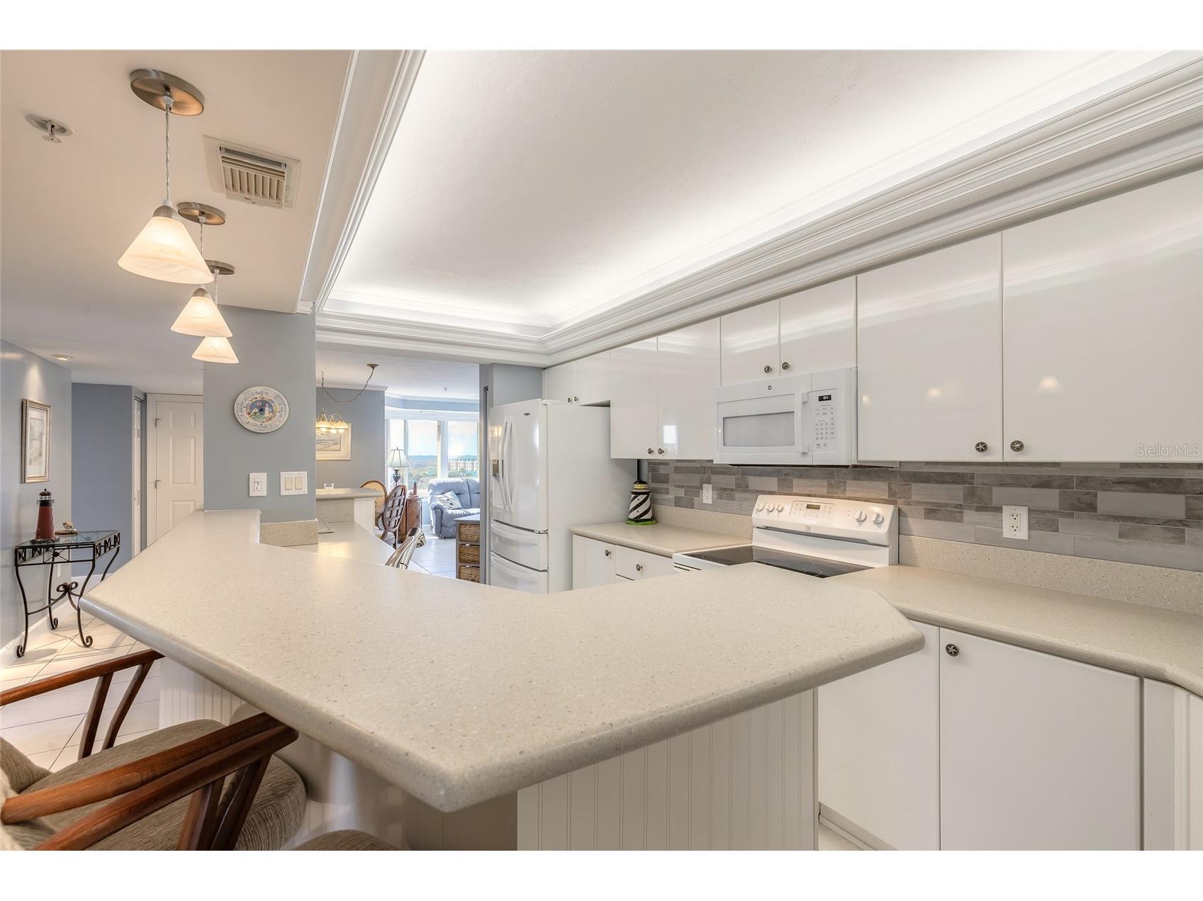4631 S Atlantic Avenue #8607 Port Orange FL 32127 - ATLANTIC OCEAN V4949487 image12