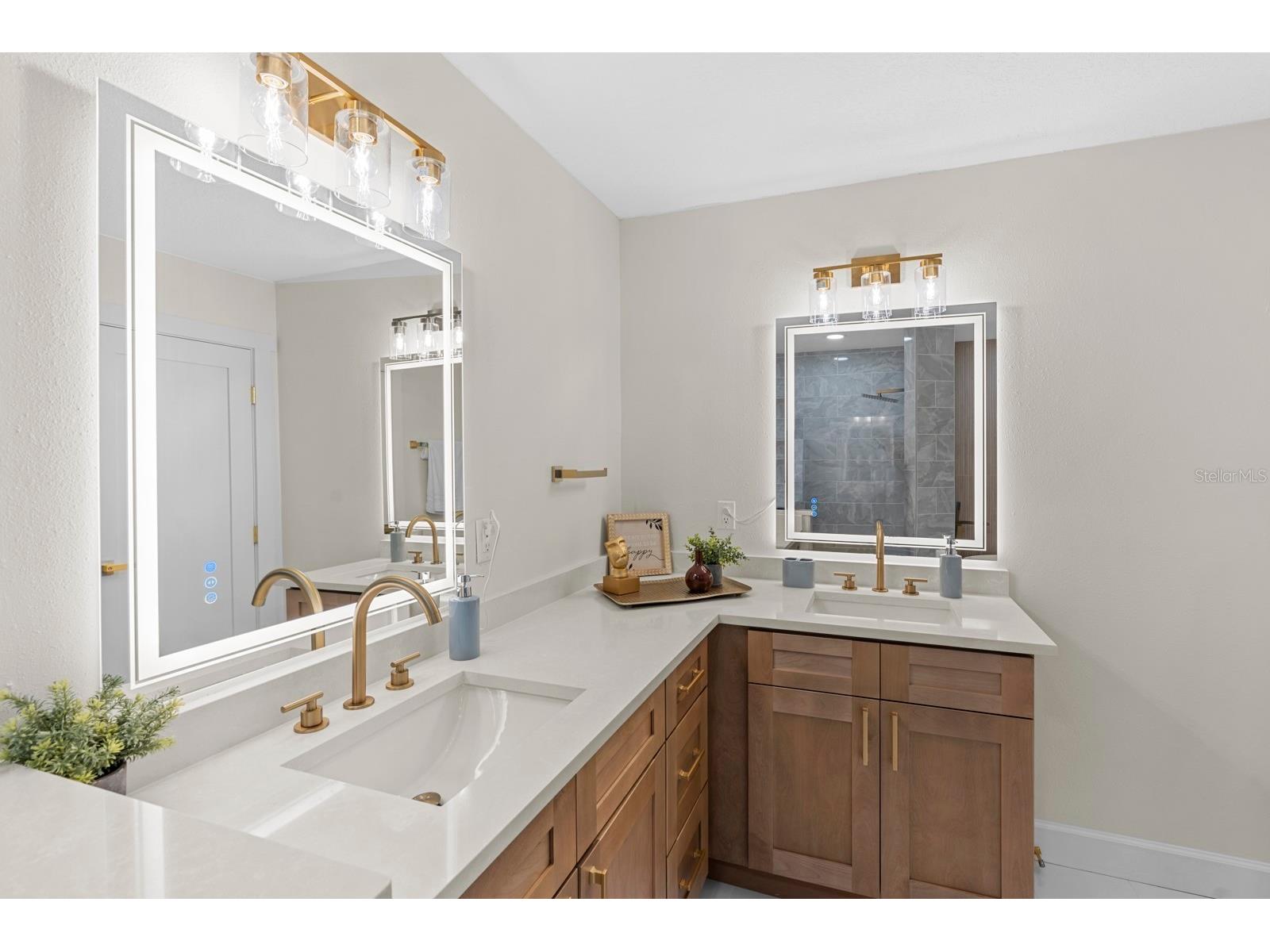 4631 W Sunset Boulevard Tampa FL 33629 TB8434581 image28